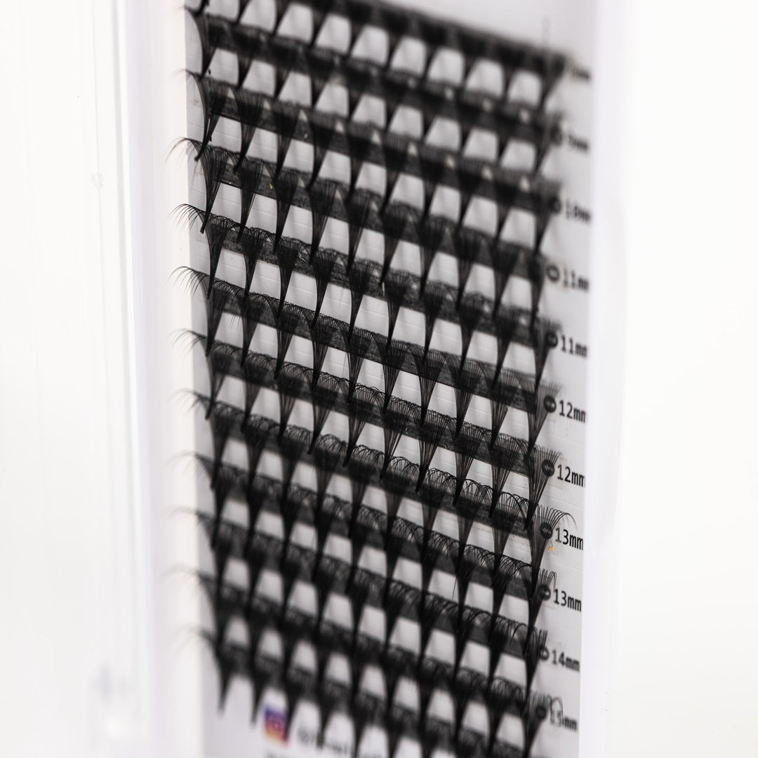 Classic Lash Trays