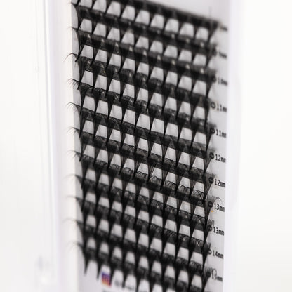 Classic Lash Trays
