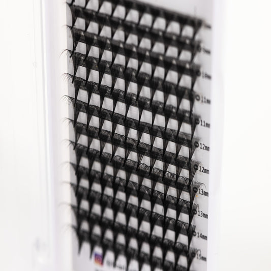 Classic Lash Trays